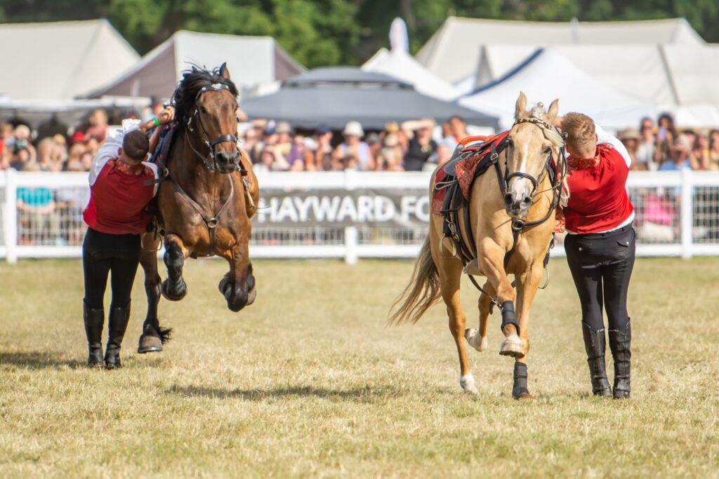 OG Performance Horses Caerwys Agricultural Show