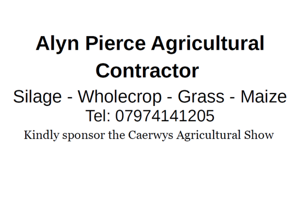 alyn pierce