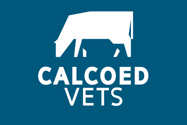 calcoed-vets